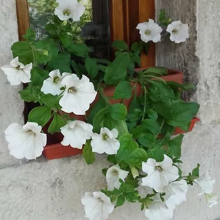 Tatil Evi La Carriella *